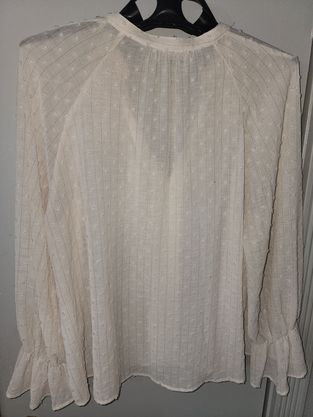 Zara Ivory Ruffle Front Sheer Blouse - Picture 12 of 12